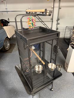 Parrot cage