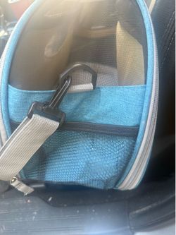 bergan Comfort Carrier