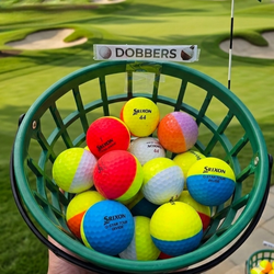 Srixon Divide Golf Ball Set – 20 Count