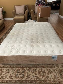 Free queen matress