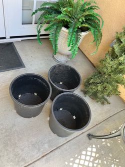 5 gallon plant pots 3 for $10