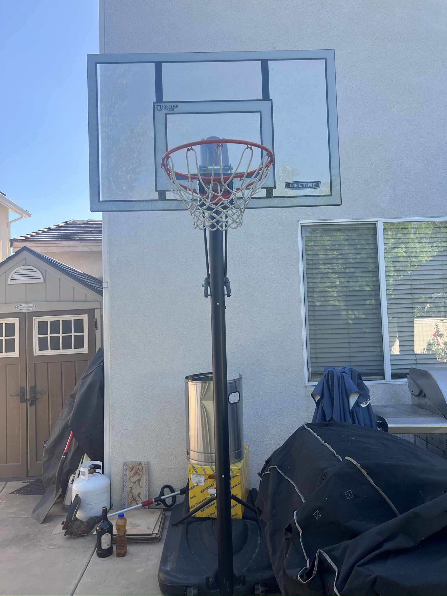 Lifetime Basketball Hoop