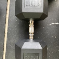 Rogue 100 lb dumbbell sale