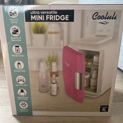 Mini Fridge