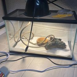 Lizard Tank Or Fish Tank