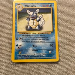 Pokemon Wartortle 