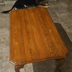 Solid Wood Coffee Table