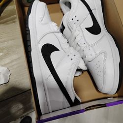 Nike Dunks Brand New Never Worn 