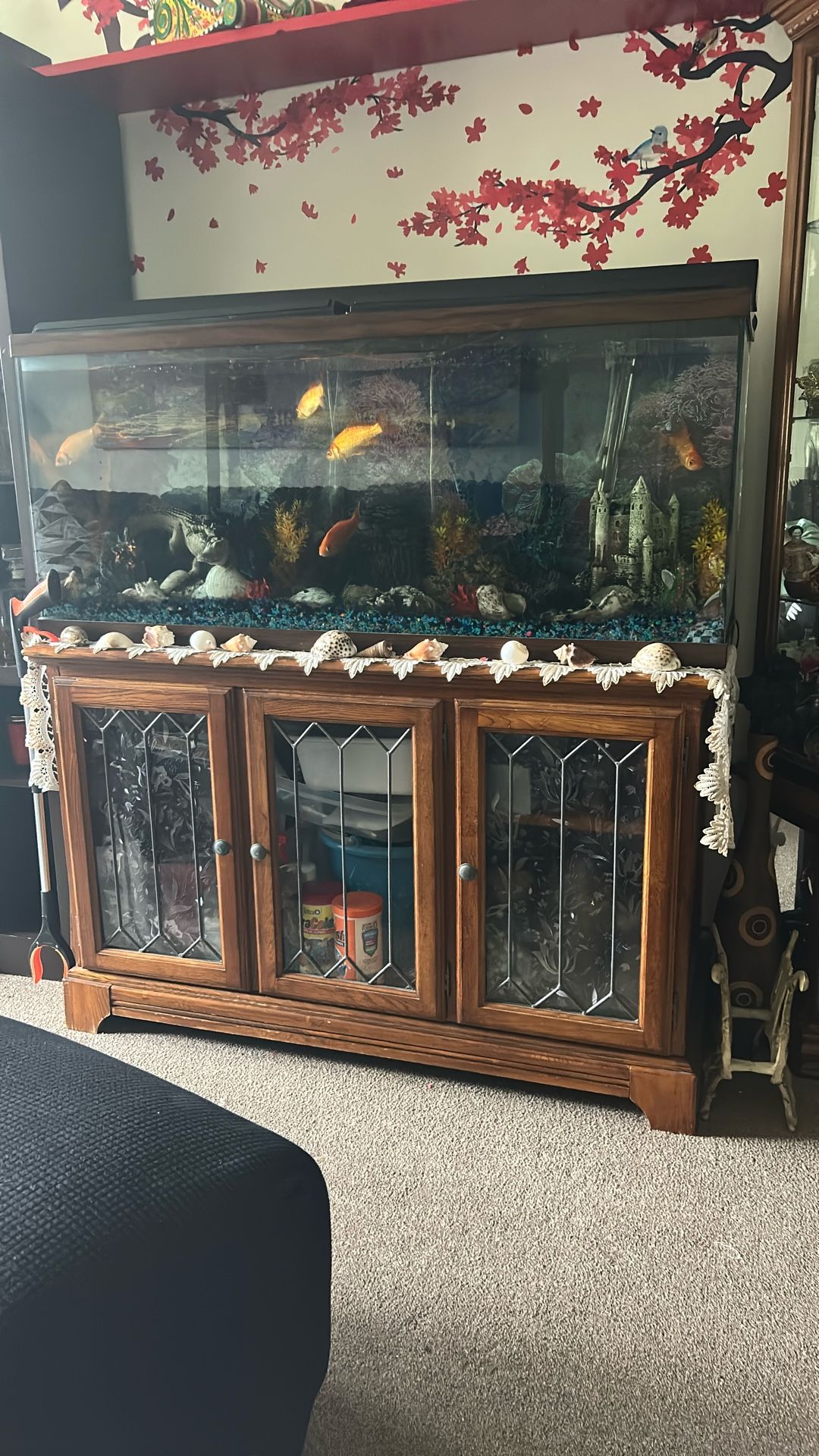 55 Gal. Aquarium