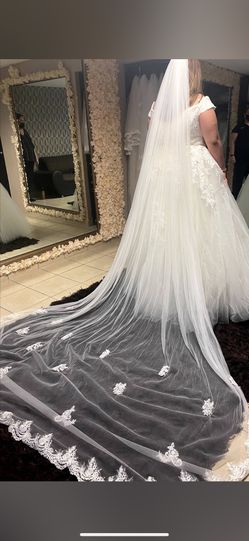 Long Ivory Veil 