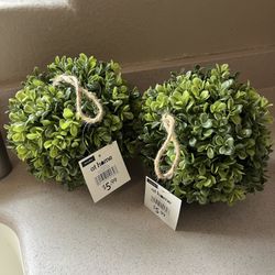 Topiary Ball From At Home
