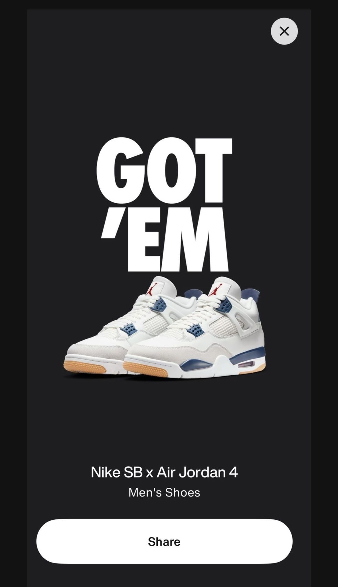 Jordan 4s SB