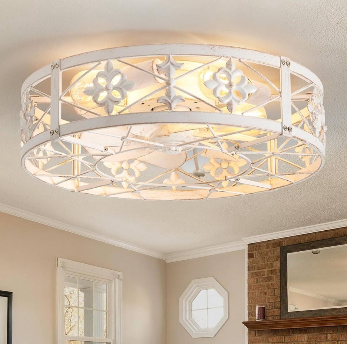 Caged Ceiling Fan with Light, 20" Ceiling Fan with Lights and Remote Flush Mount