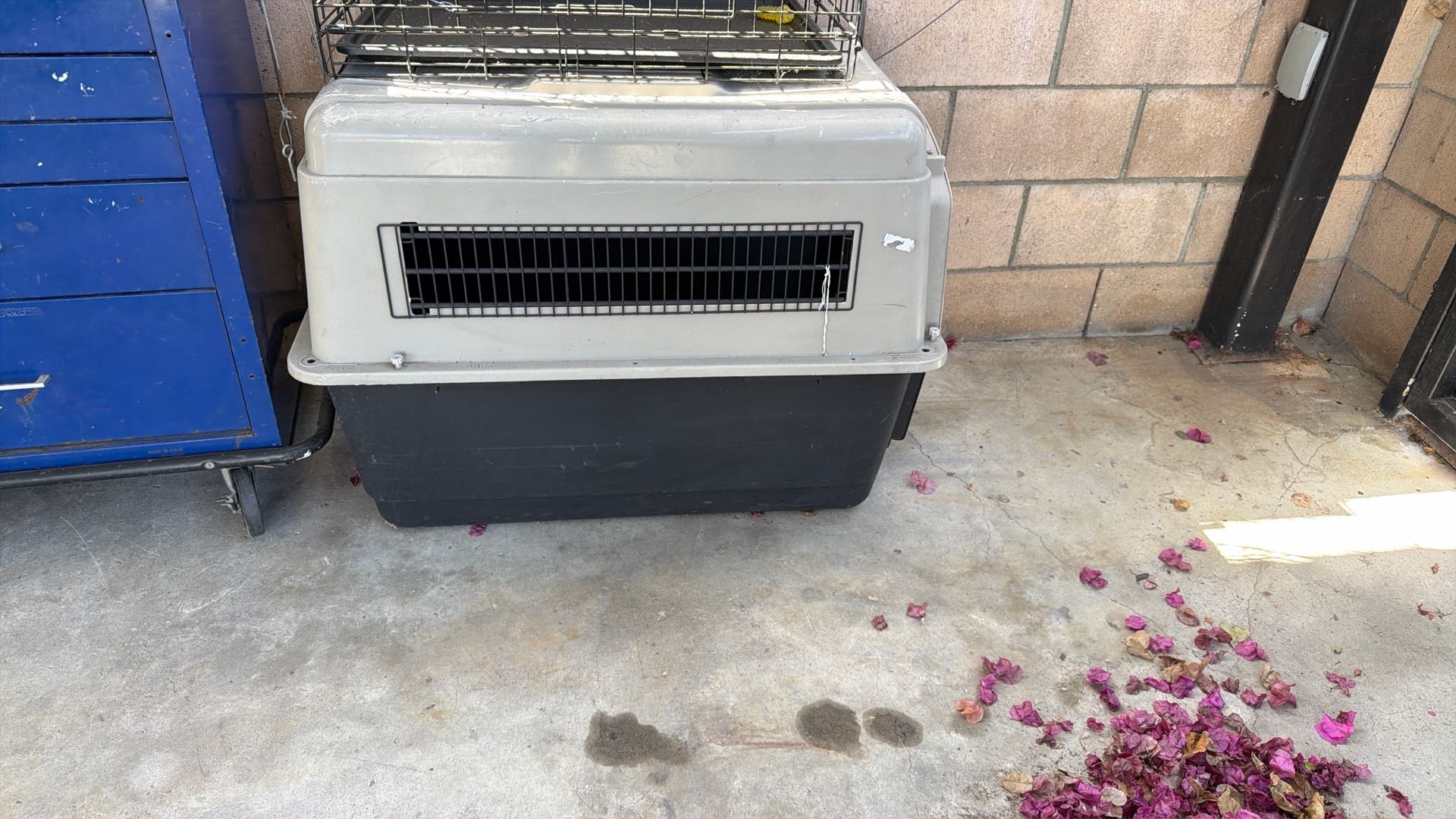 Travel Pet Kennel