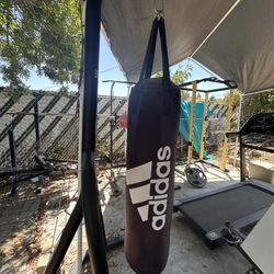Gym Equipment 
