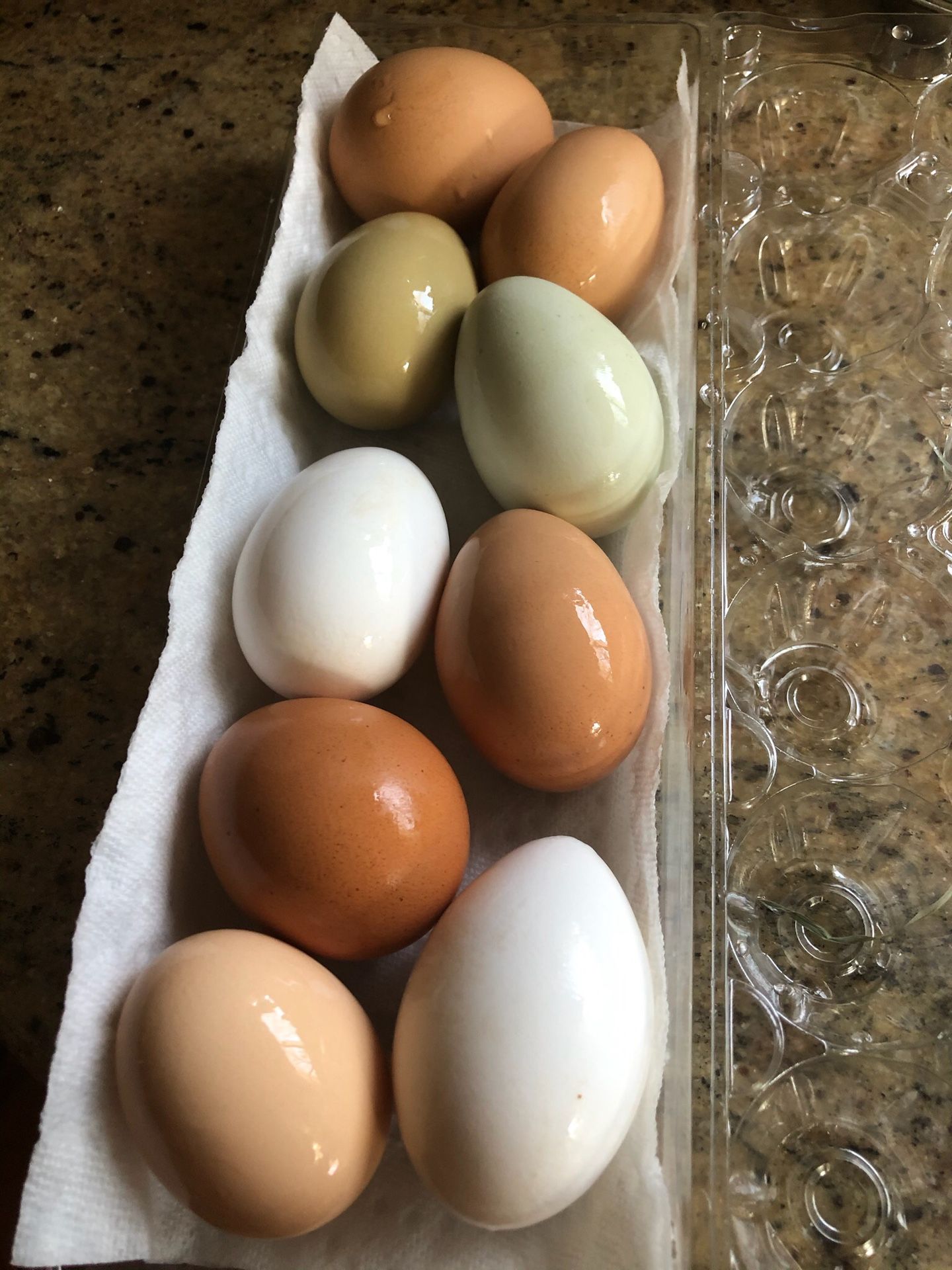 Sparkle Farm : Free Range Duck & Chicken Eggs