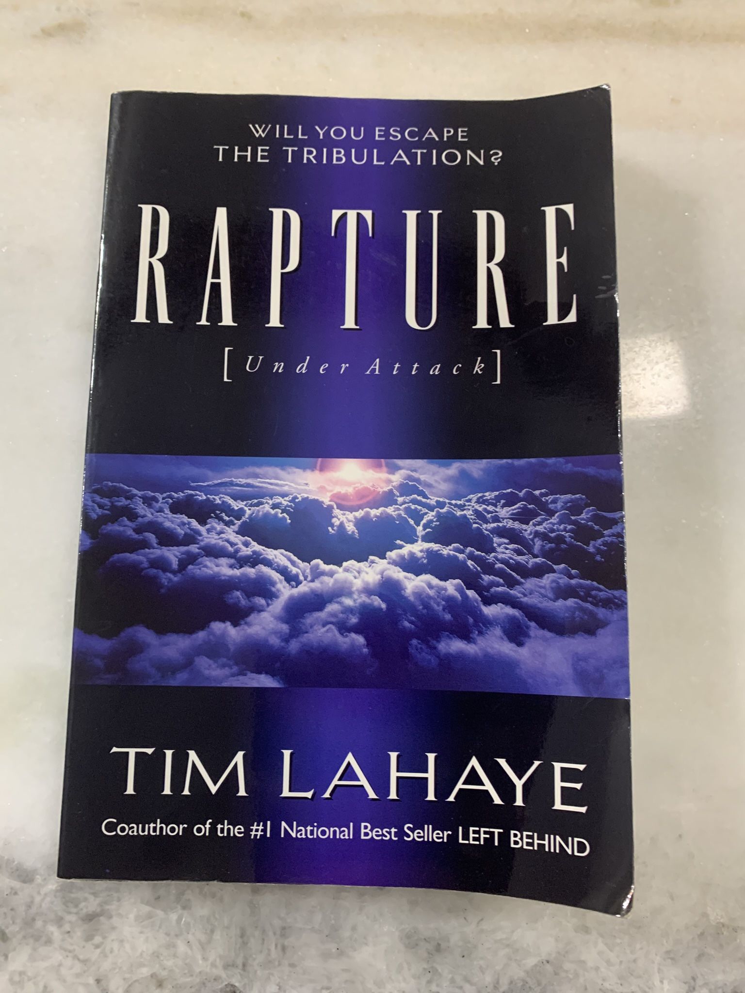 Rapture Book for Sale in Saraland, AL - OfferUp