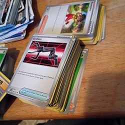 Pokemon Cards Trainer