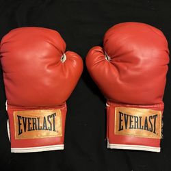 Boxing  Gloves
