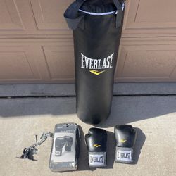 Everlast Punching Bag & Everlast Gloves