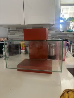 5+ Fish tanks and accessories