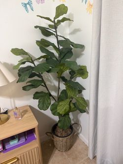 Planta artificial con su maseta y musgo