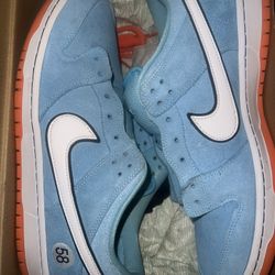 Size 11.5 Nike Dunk Pro SB