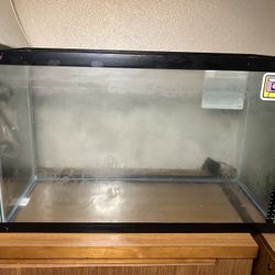 29 Gallon Fish Tank 