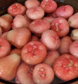 java apples (rose/water/wax apples) $20 for 10 Pieces . Limited Quantity