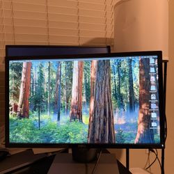 Dell P2213T 22” monitor