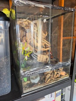 Glass Reptile Terrarium with Decor