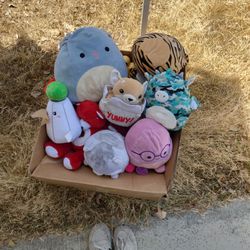 Stuffed Animal Lot 
