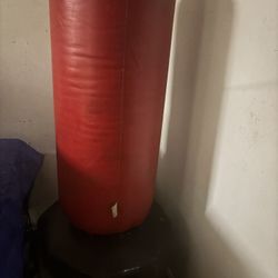 Punching Bag