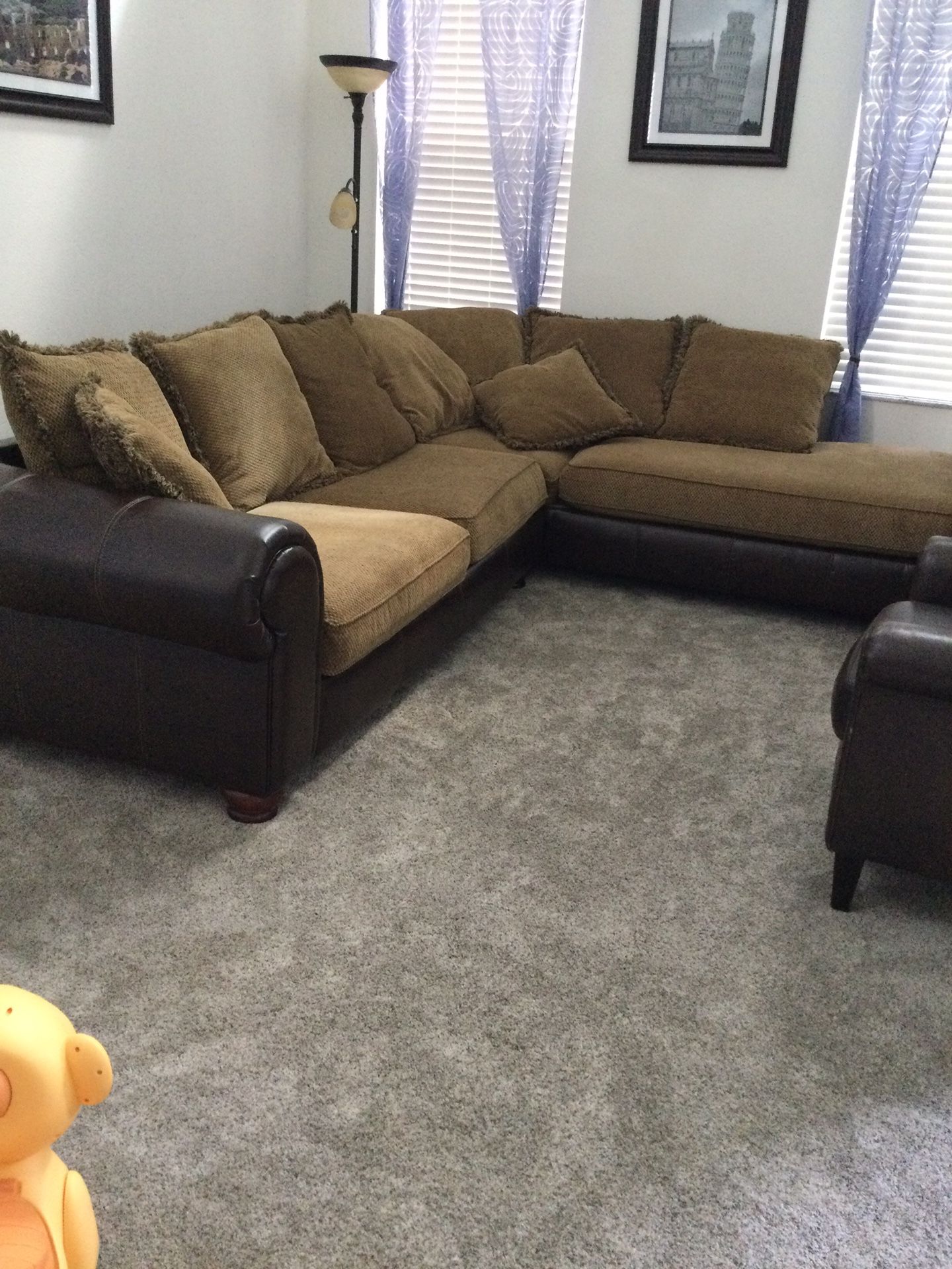 Sectional Couch