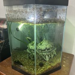 30 gallon hexagon aqueon fish tank