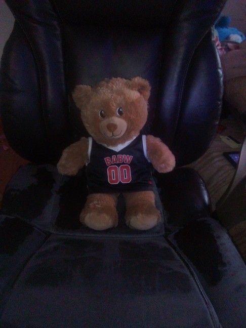 Build A Bear Teddy Bear 