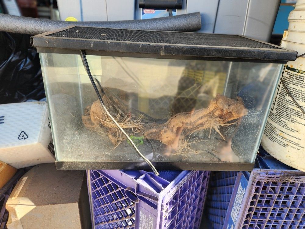 Small Reptile Tank