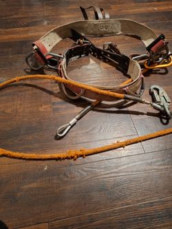 Linemen Tree Trimming With Cable