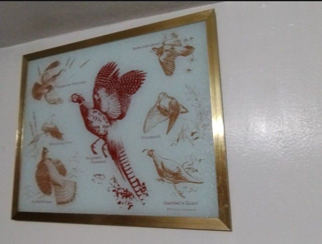 VINTAGE GLASS WALL ART - HUNTING BIRDS 21"×17"
