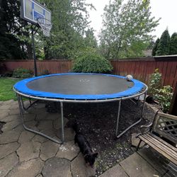 Trampoline