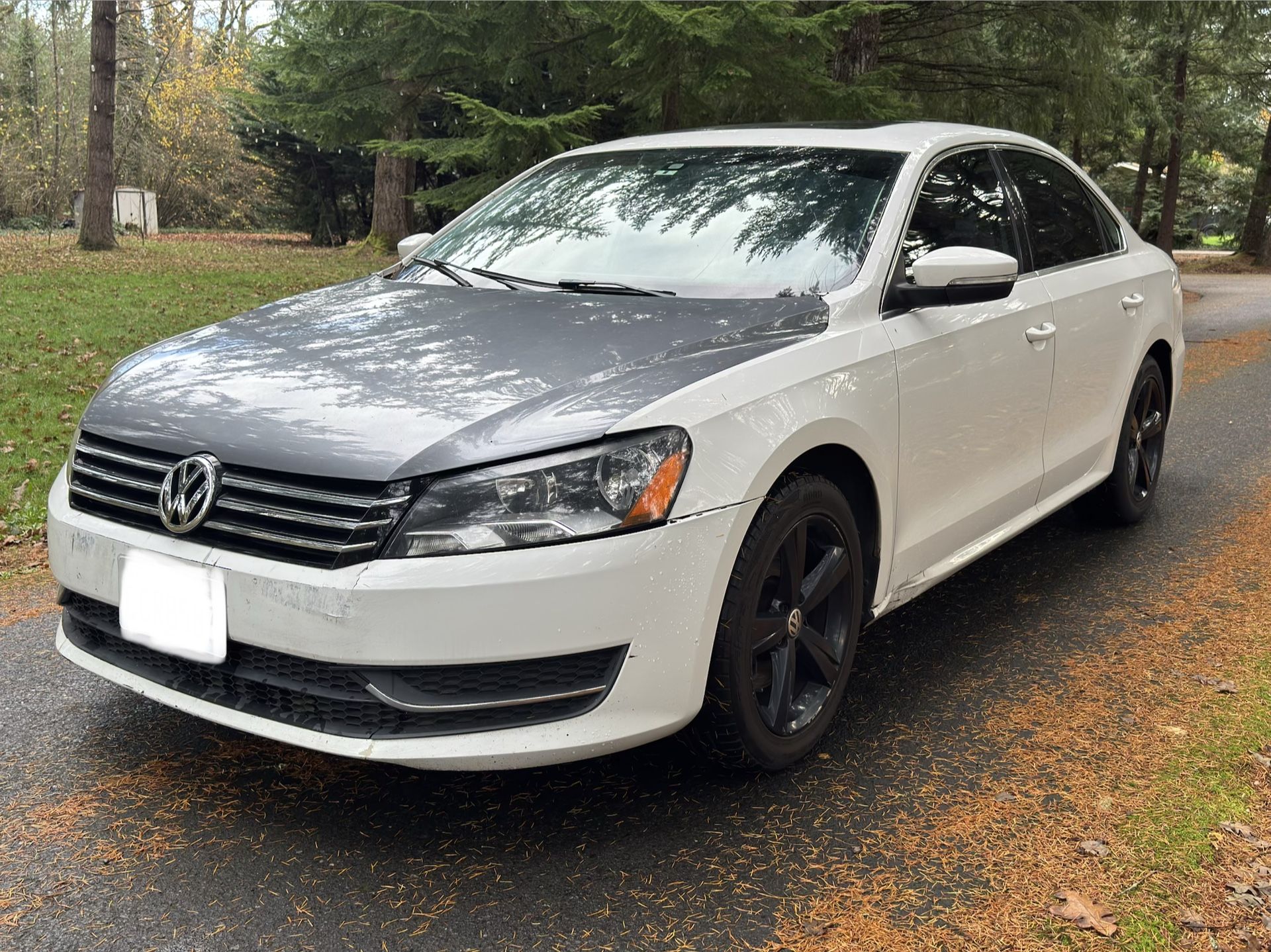 2013 Volkswagen Passat