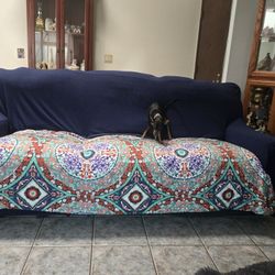 Couch & Loveseat. Must Go 