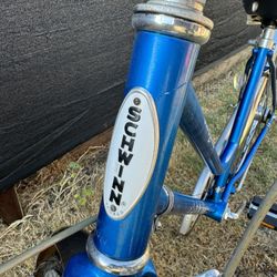 Schwinn Bike vintage