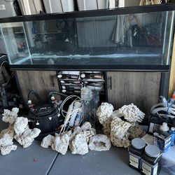 Big Fish Tank - 125 Gallon