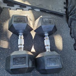 45lbs Dumbells Weights