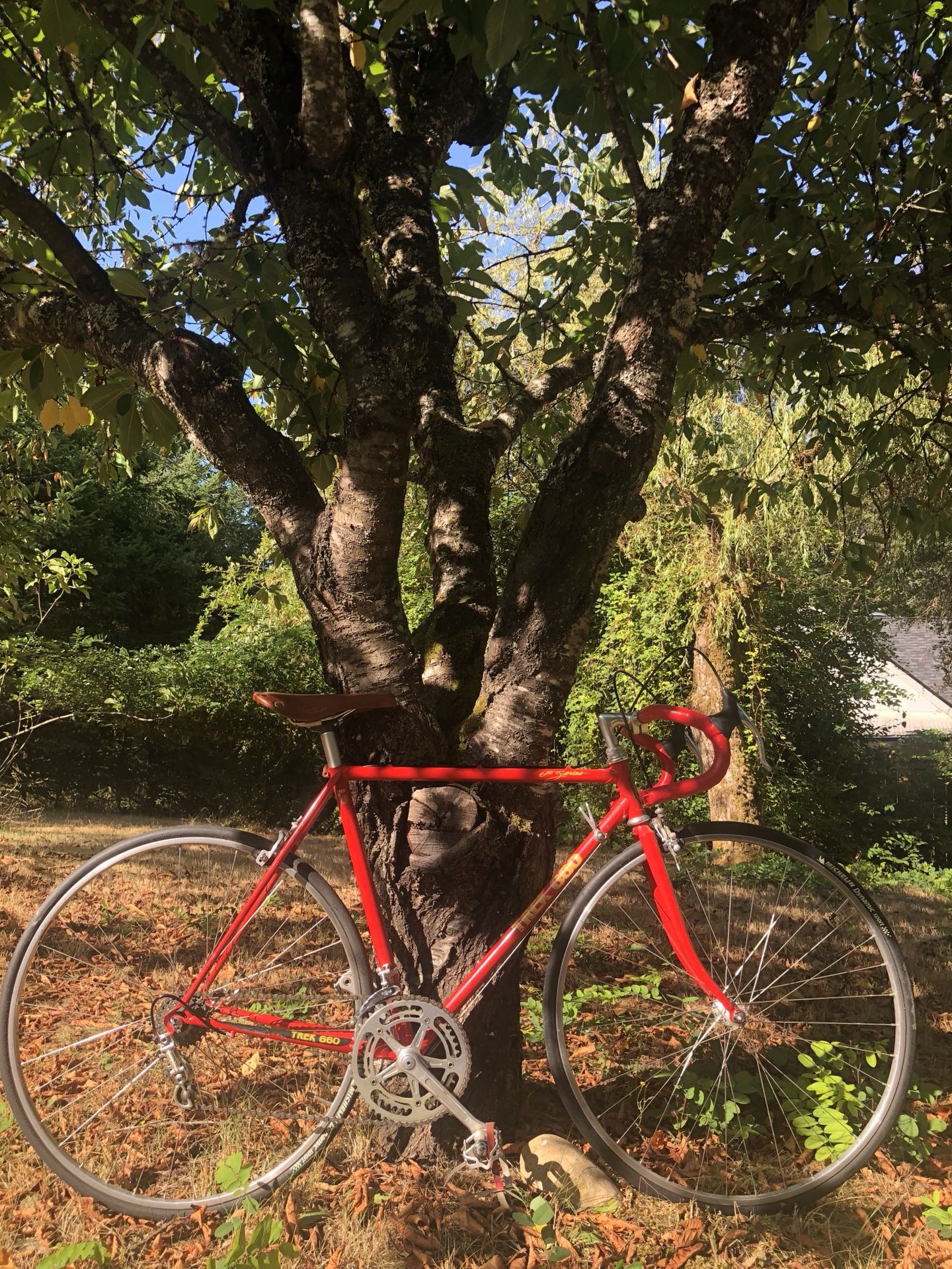 Vintage Trek 660 Racing Road Bike 52cm