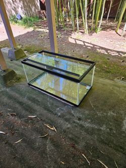 40 gallon breeder aquarium w/accessories
