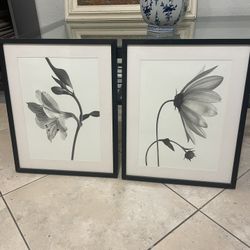 2 Framed Pictures Behind The Glass, Flowers, Black & White