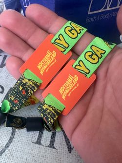 Nocturnal Wonderland