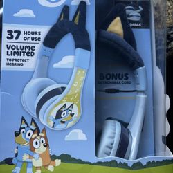 Bluey Headphones